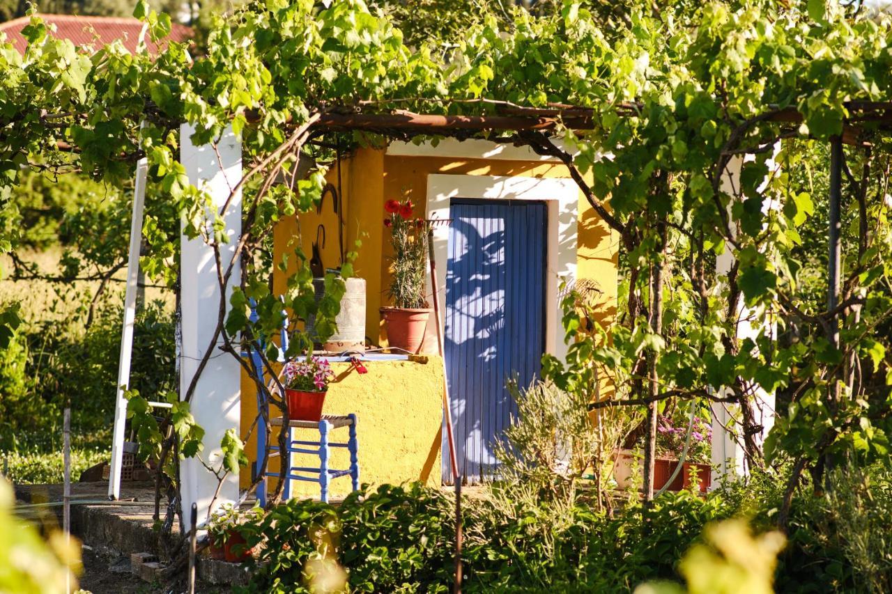 Villa Doreta Рода Экстерьер фото